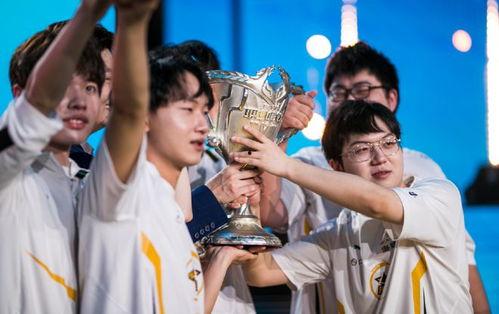 爆料狼队训练视频大全下载,视频大全下载解析 第1张 爆料狼队训练视频大全下载,视频大全下载解析 第1张